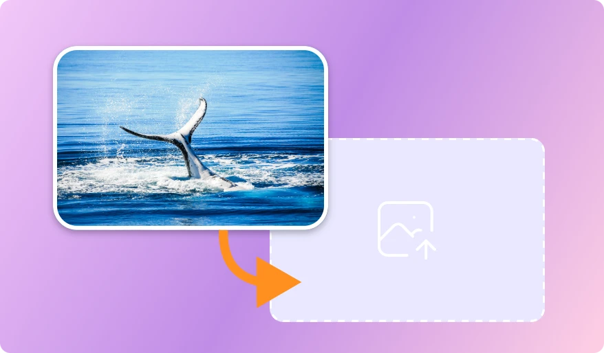 Upload Your Images or Photos