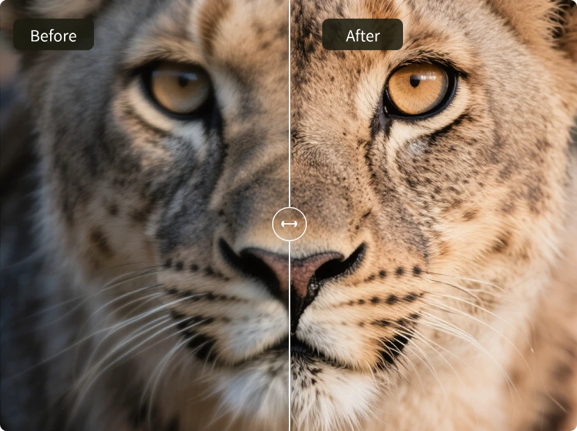 Create Artistic, Dreamy Effects