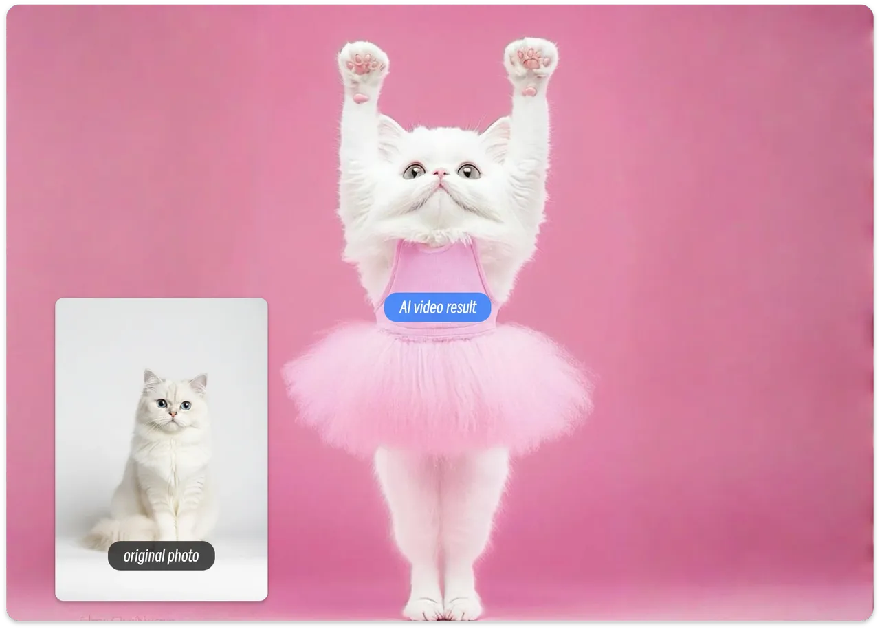 Faites danser votre animal de compagnie